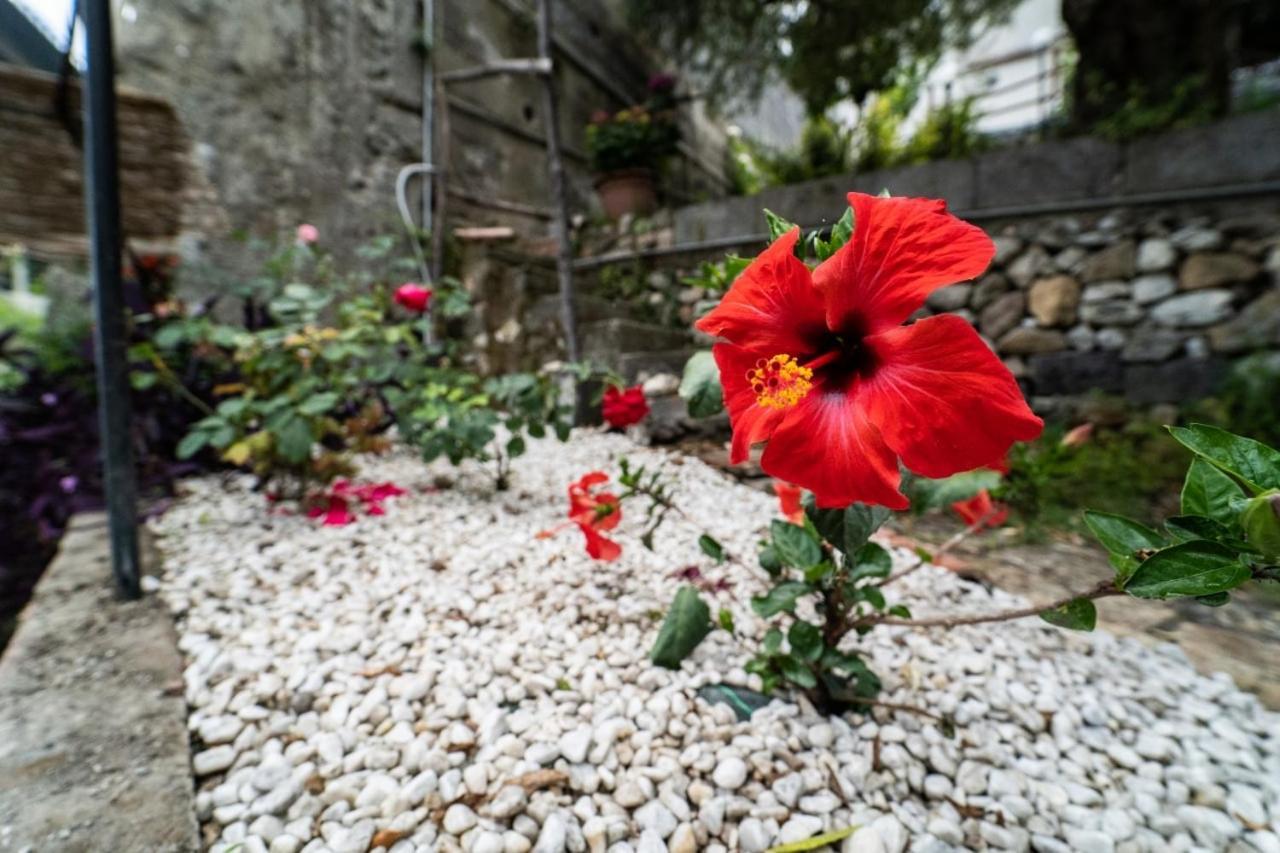 Villetta La Pietra Ταορμίνα Εξωτερικό φωτογραφία